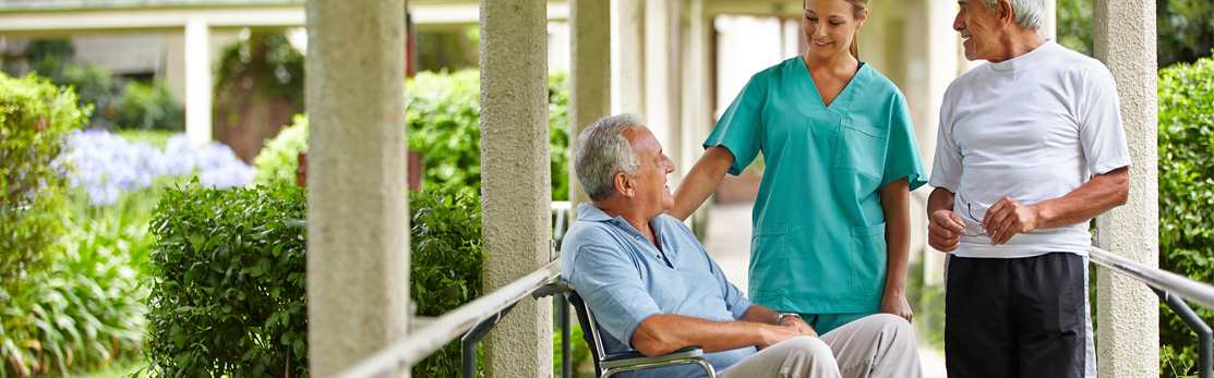 The Role of IT in Caring for an Ageing Population