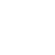 adopt icon