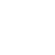 budget icon